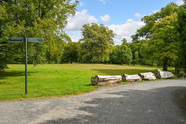 Medium property photo - Hart Nibbrigkade 64, 2597 XX Den Haag